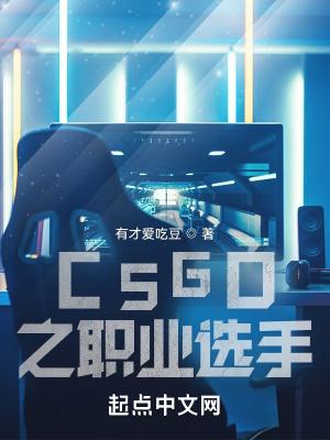 csgo之职业选手TXT免费