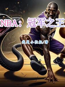 nba冠军分析