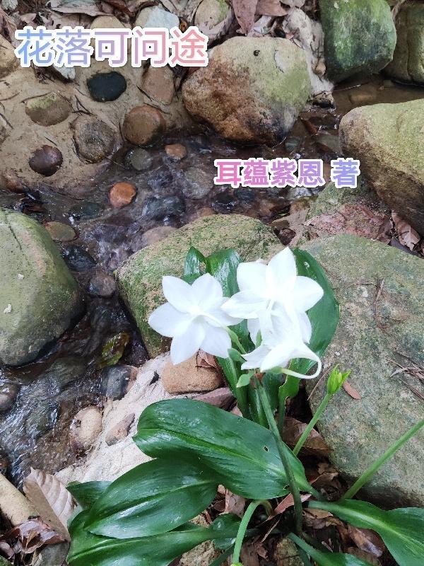 花落谁家未可知什么意思