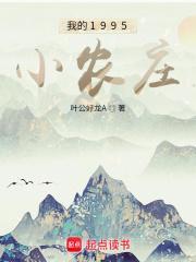 我的1995小农庄免费阅读