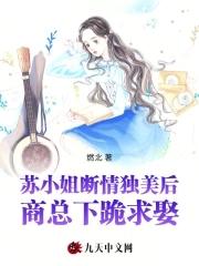 苏小姐是什么电视剧里的人物