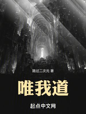 唯我道无错版