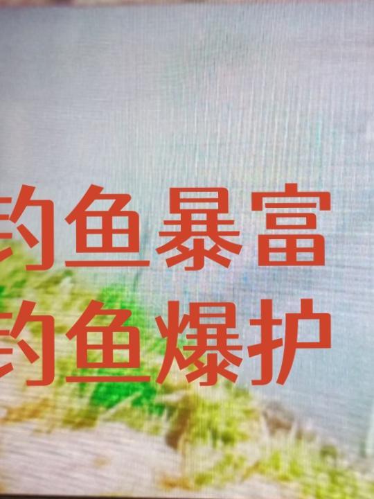 钓鱼爆护什么意思